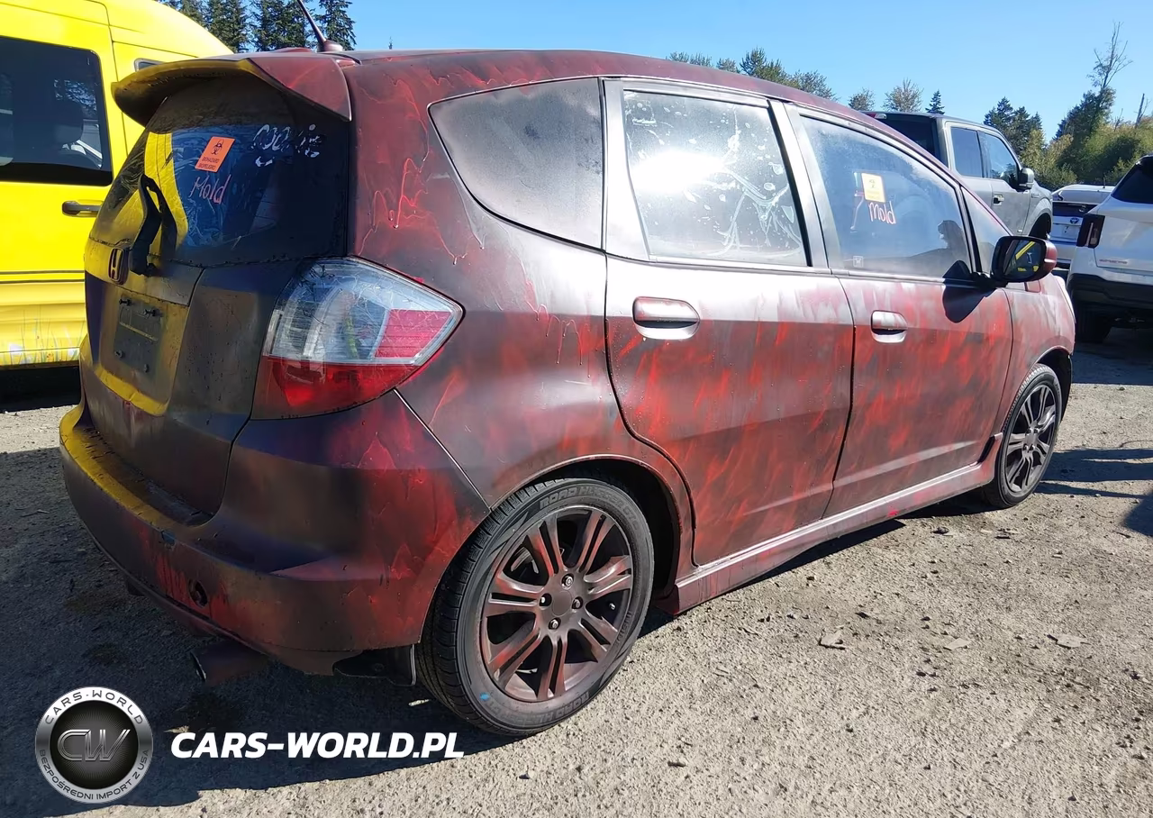 2010 Honda Fit Sport VIN:JHMGE8H40AC020947 - 4