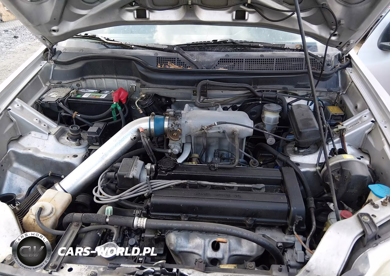 1998 Honda Cr-V Lx VIN:JHLRD1842WC802309 - 10