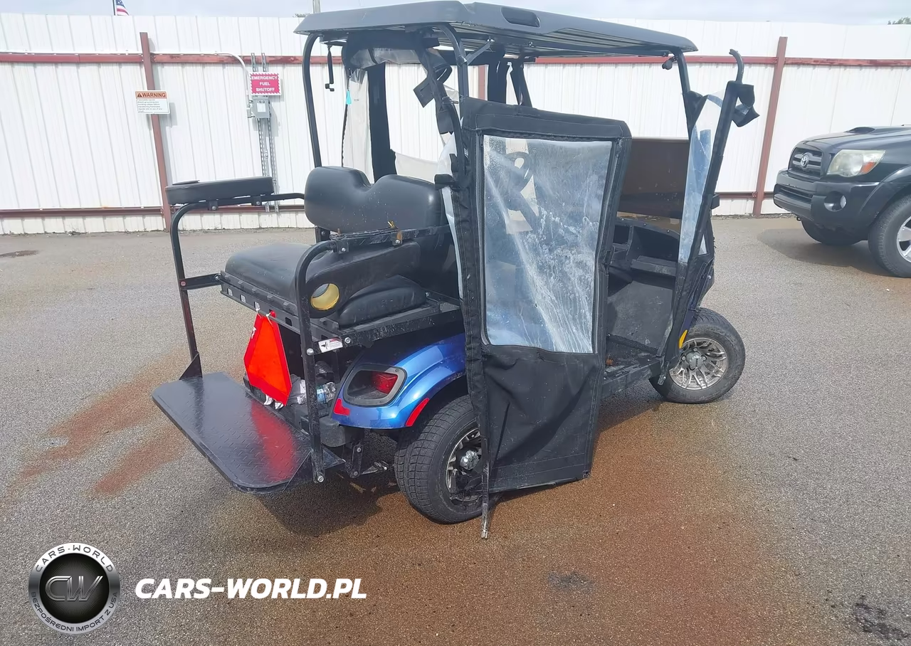 2019 Ezgo Txt Valor VIN:EZGAE0CAVK3366826 - 4