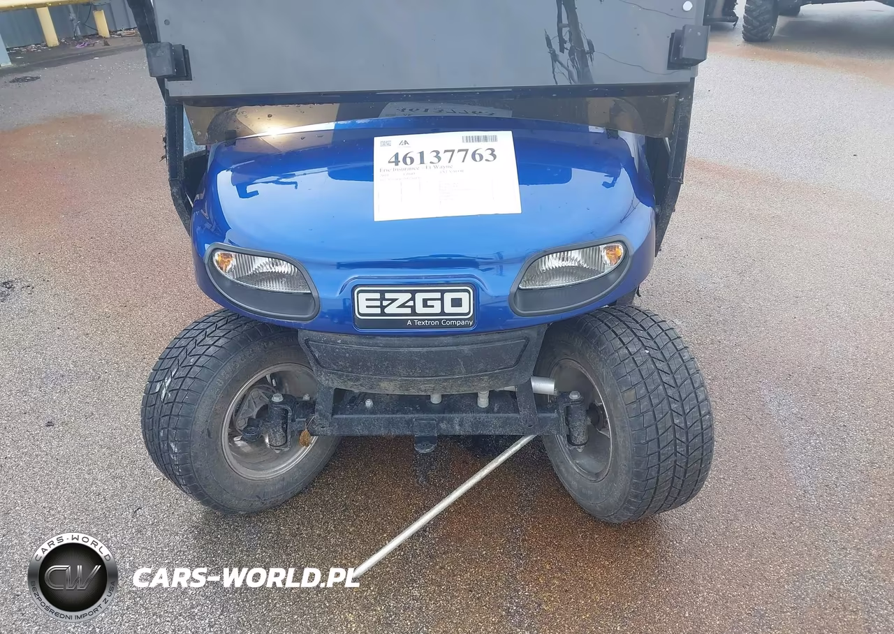 2019 Ezgo Txt Valor VIN:EZGAE0CAVK3366826 - 9
