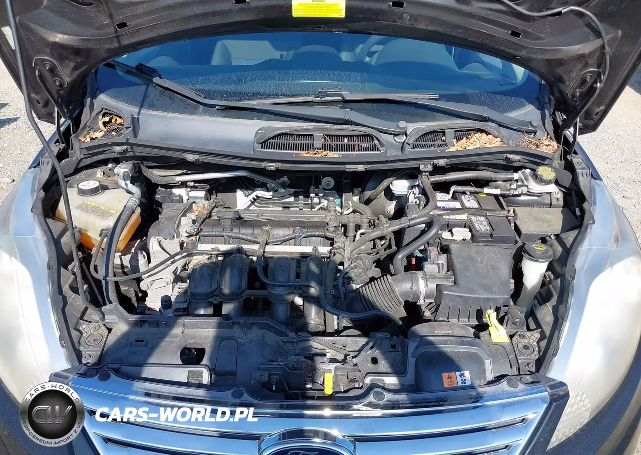 2013 Ford Fiesta Se VIN:3FADP4BJ8DM117604 - 10