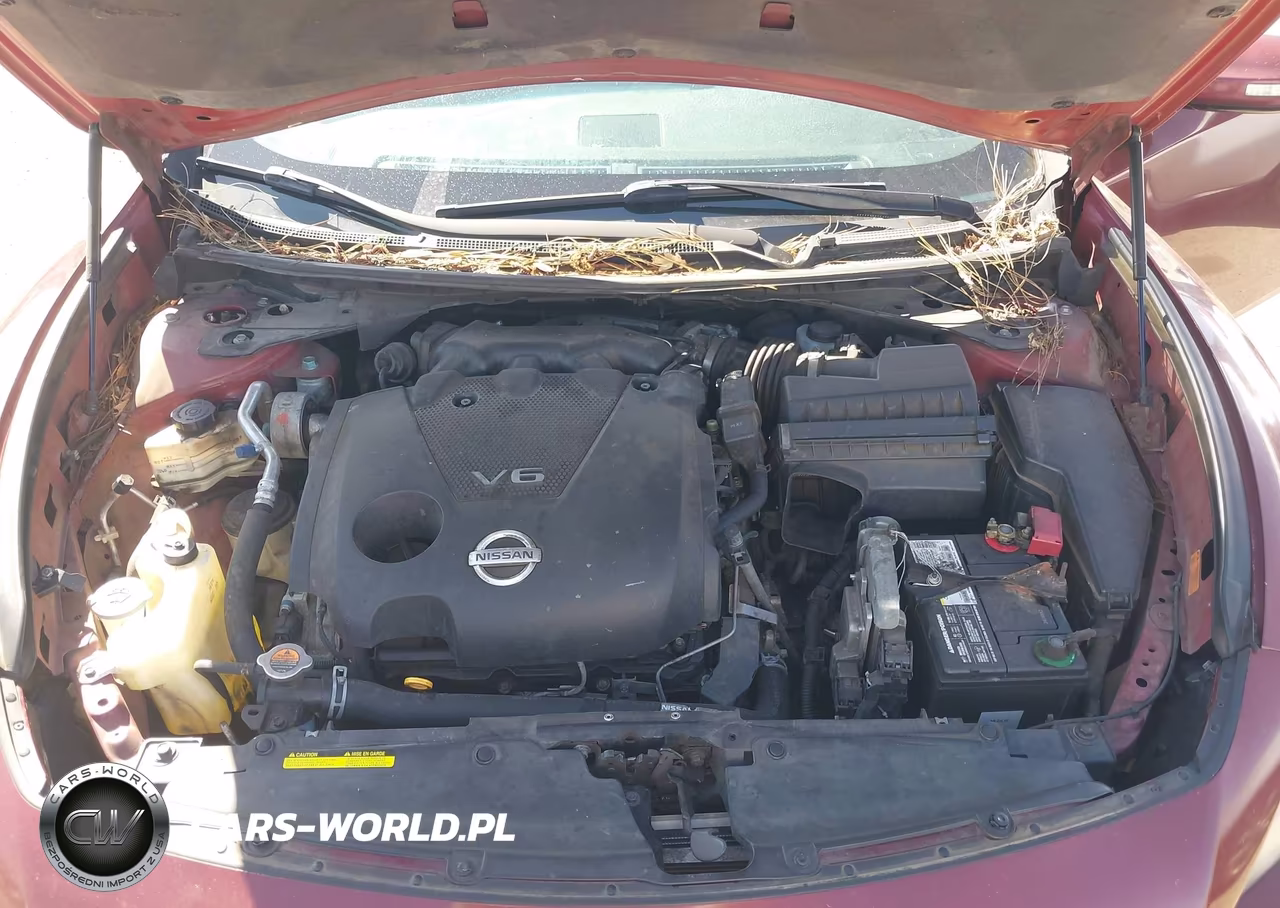 2009 Nissan Maxima 3.5 Sv VIN:1N4AA51E99C843978 - 10
