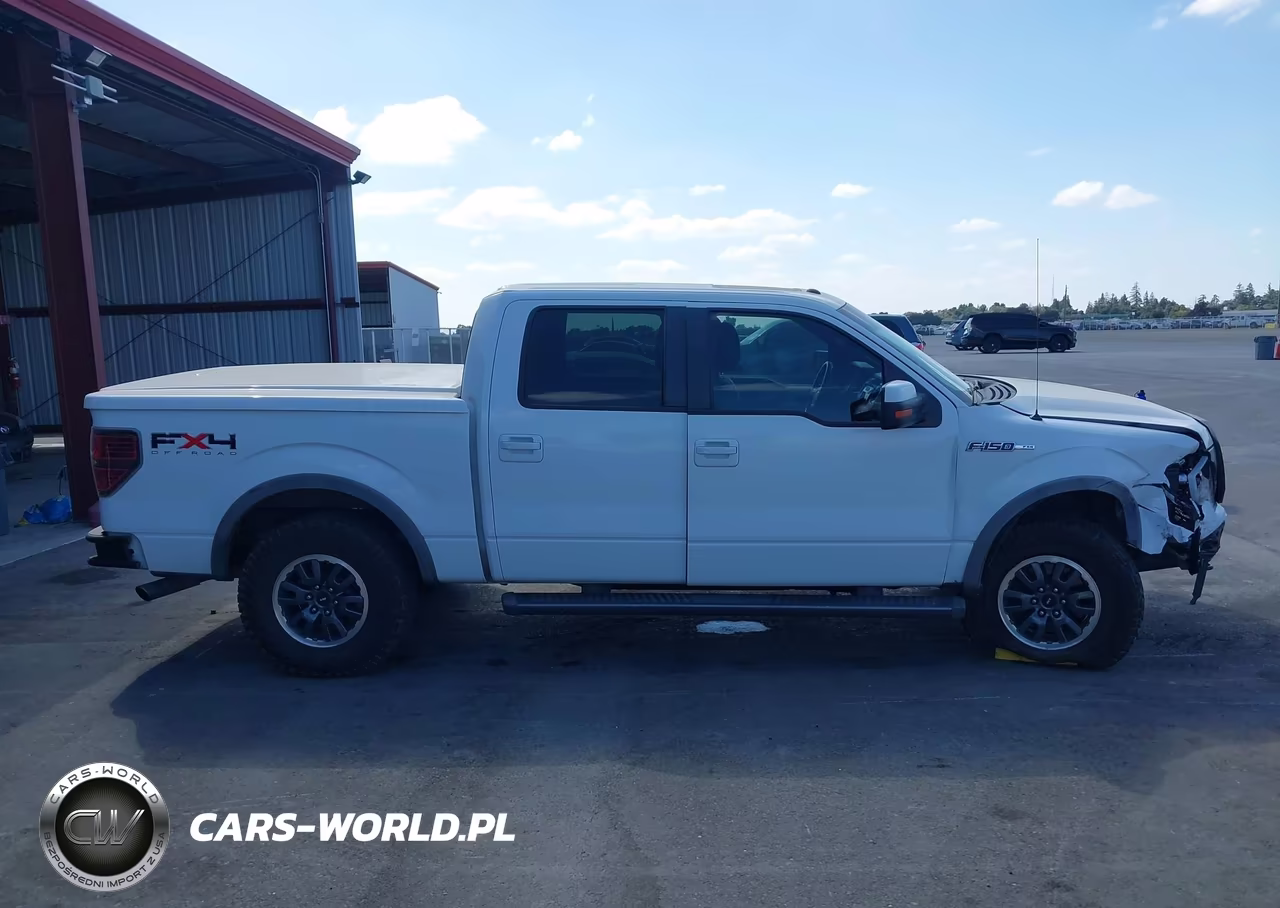 2011 Ford F-150 Fx4 VIN:1FTFW1EFXBFA50593 - 13
