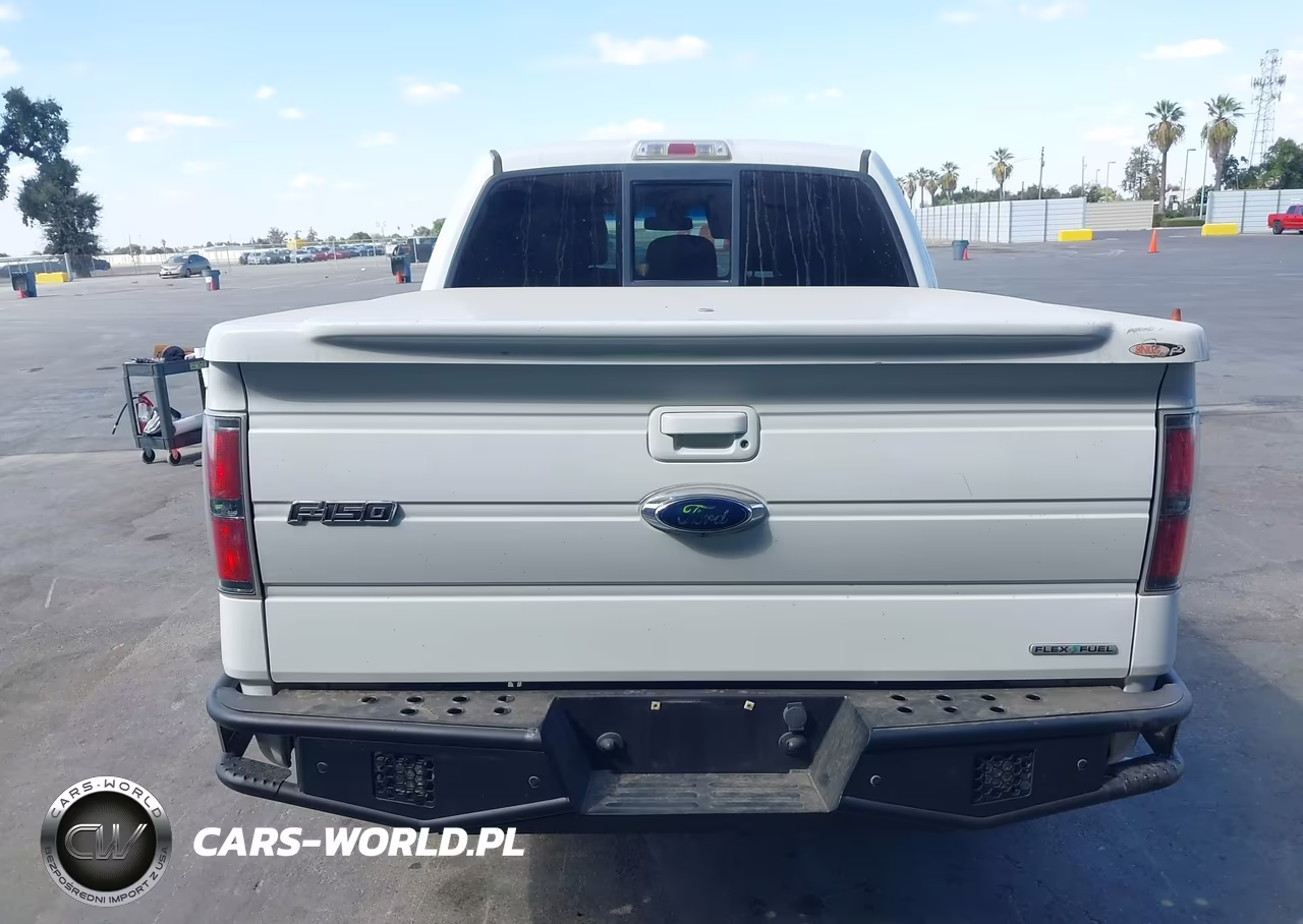 2011 Ford F-150 Fx4 VIN:1FTFW1EFXBFA50593 - 16