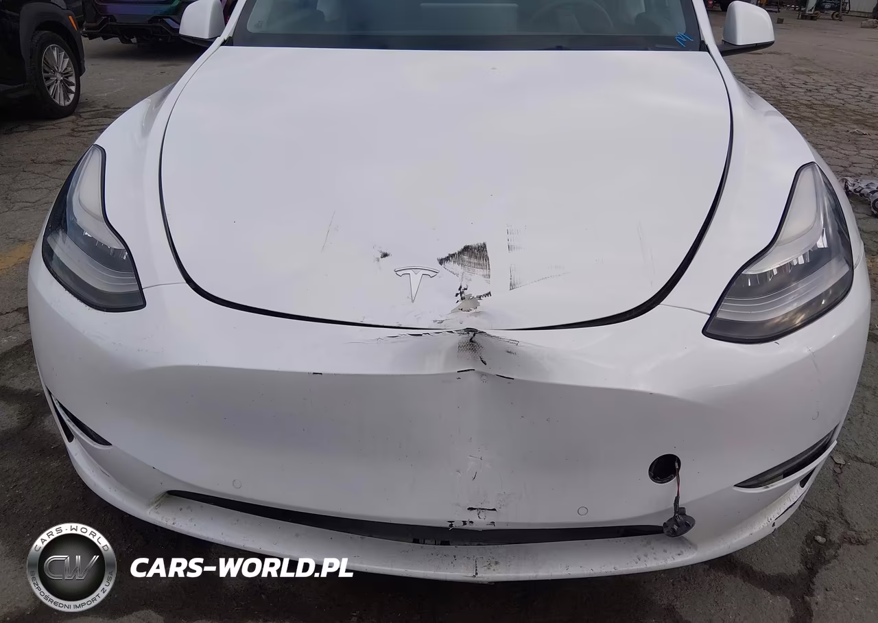 2021 Tesla Model Y Long Range Dual Motor All-Wheel Drive VIN:5YJYGDEE2MF159331 - 6