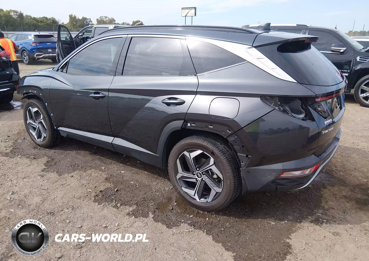 2022 Hyundai Tucson Limited VIN:5NMJECAE4NH149942 - 3