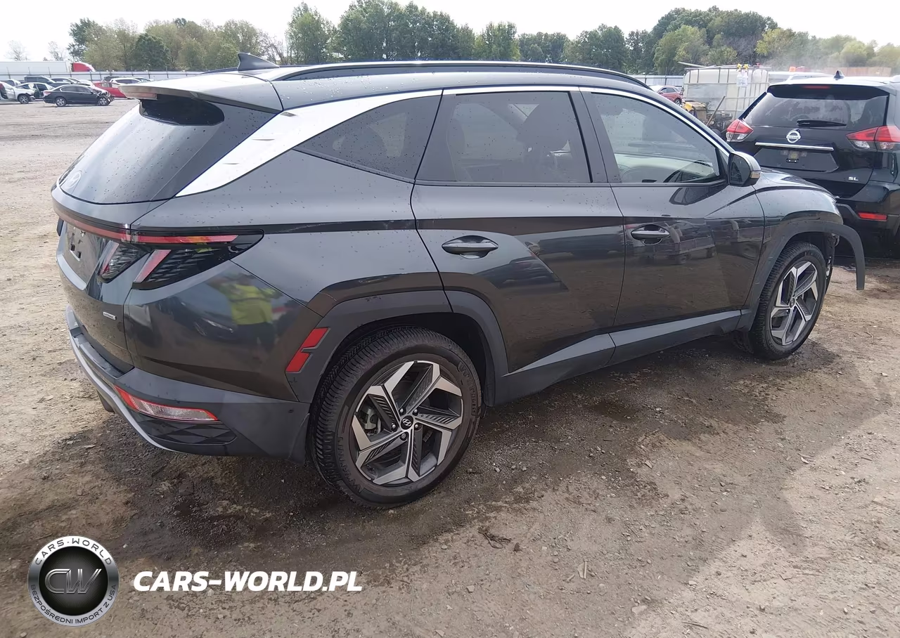2022 Hyundai Tucson Limited VIN:5NMJECAE4NH149942 - 4