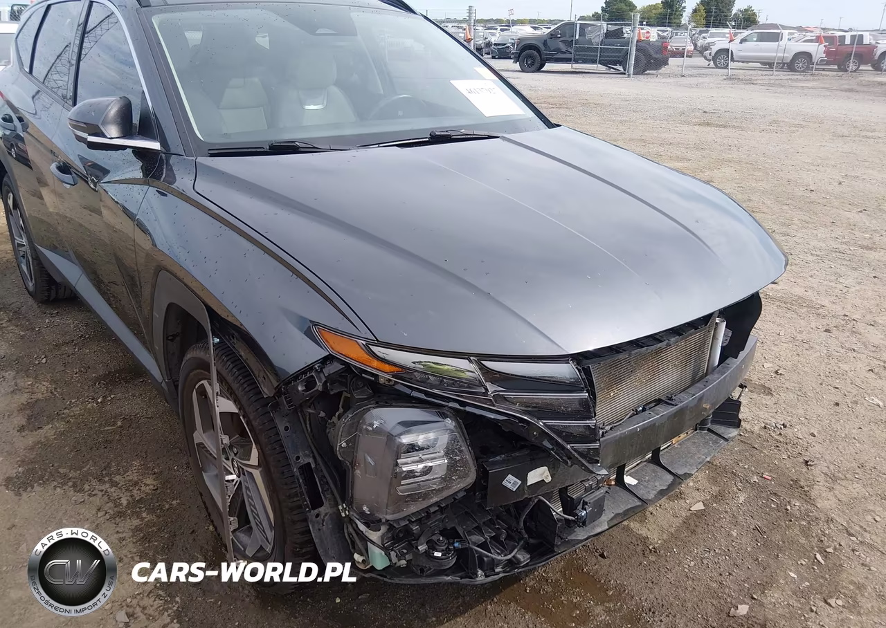 2022 Hyundai Tucson Limited VIN:5NMJECAE4NH149942 - 6