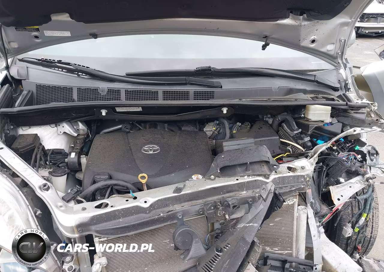 2020 Toyota Sienna Xle VIN:5TDDZ3DC7LS230360 - 10