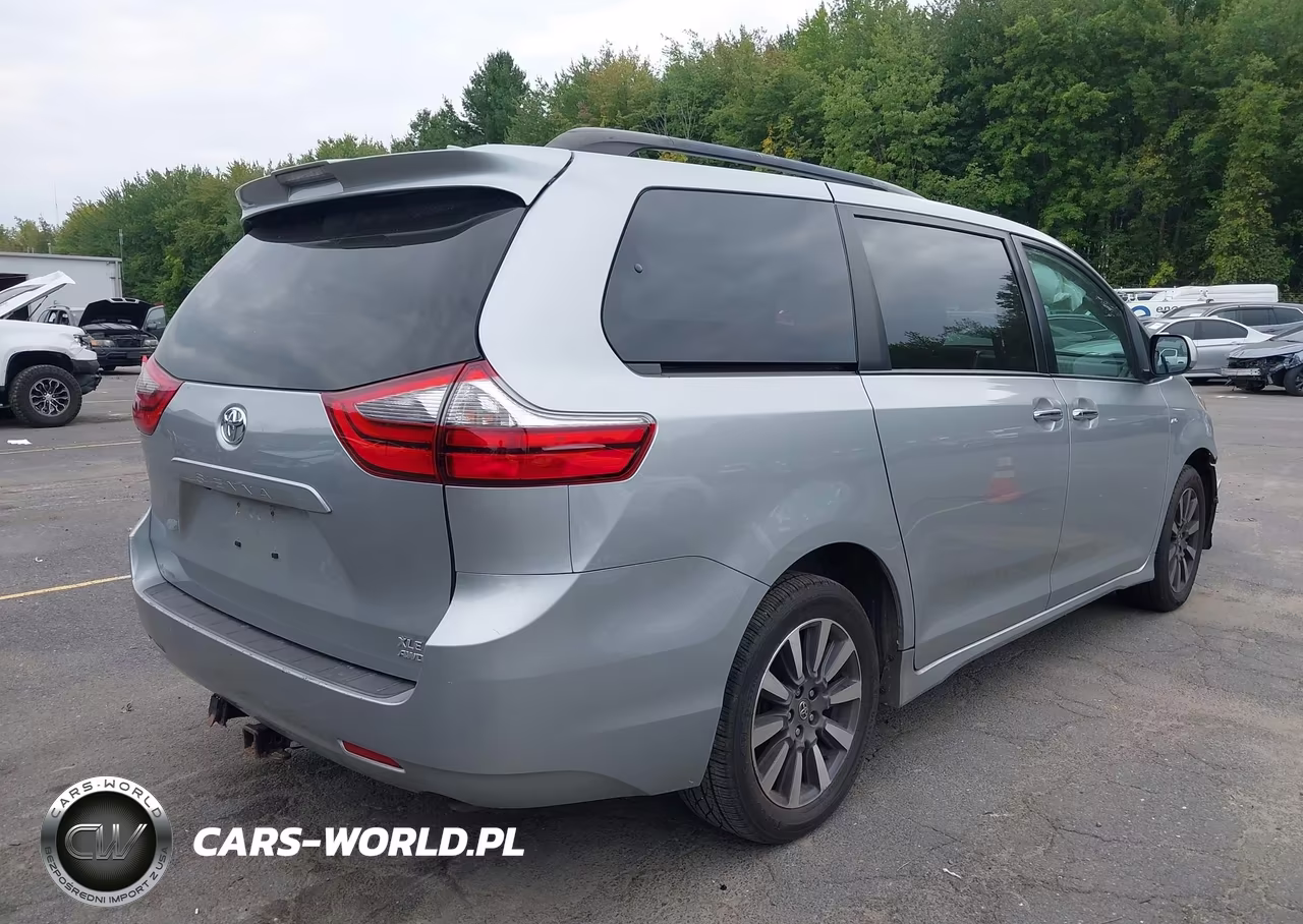 2020 Toyota Sienna Xle VIN:5TDDZ3DC7LS230360 - 4