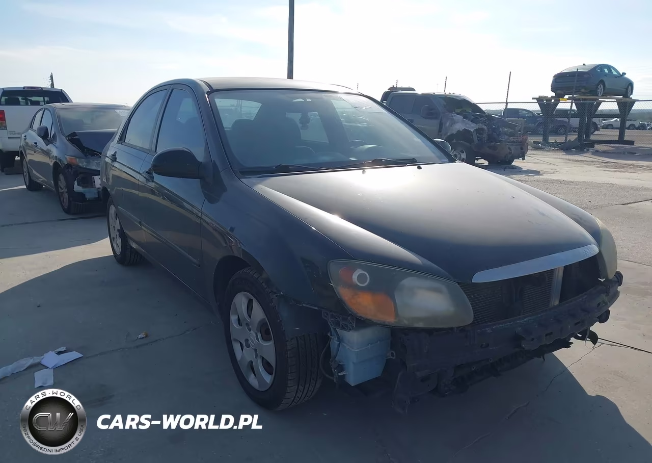 2009 Kia Spectra Lx VIN:KNAFE221X95619313 - 12