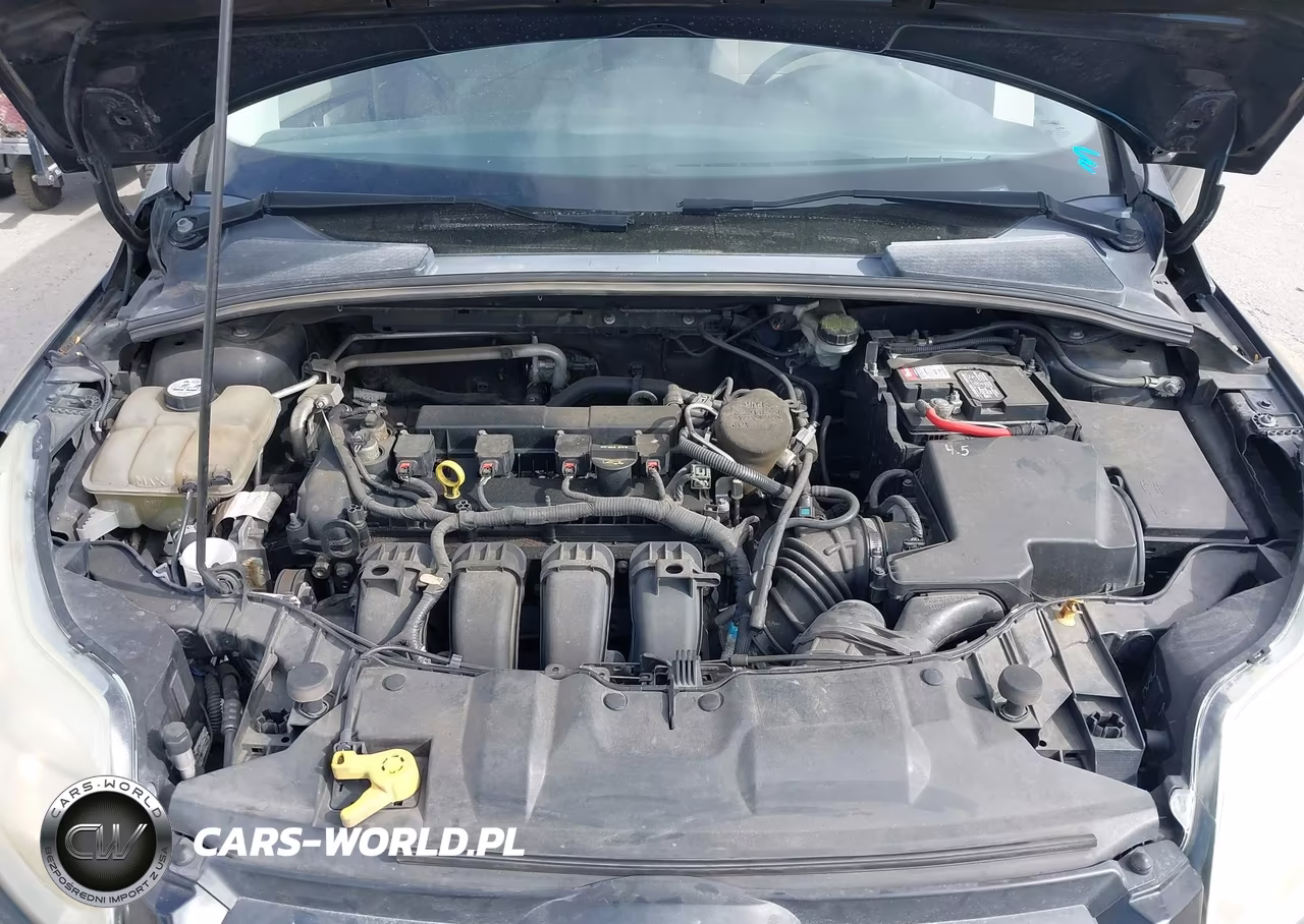 2013 Ford Focus Se VIN:1FADP3K23DL273022 - 10