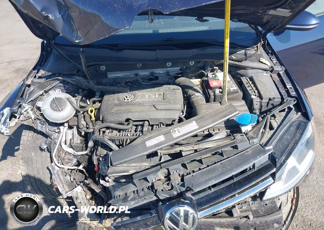 2017 Volkswagen Golf Sportwagen Tsi S VIN:3VW017AUXHM543417 - 10
