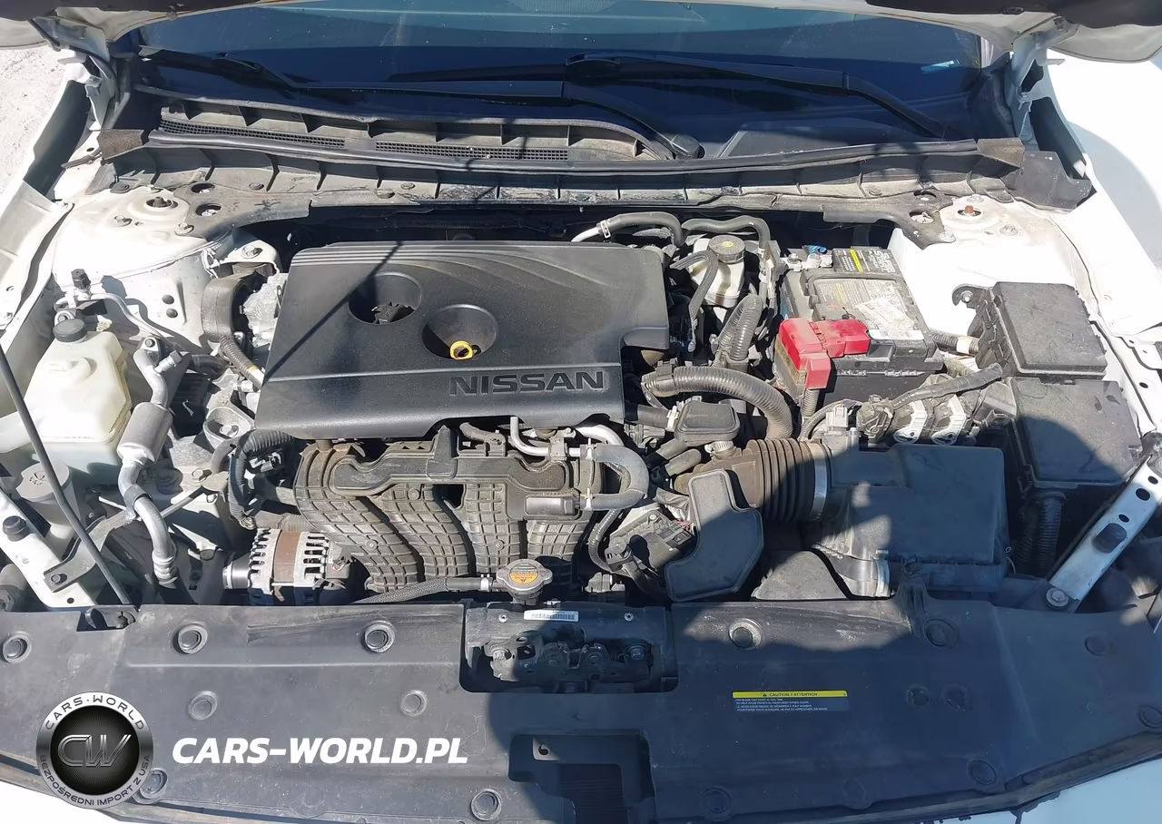 2019 Nissan Altima 2.5 Platinum VIN:1N4BL4FV2KC208284 - 10