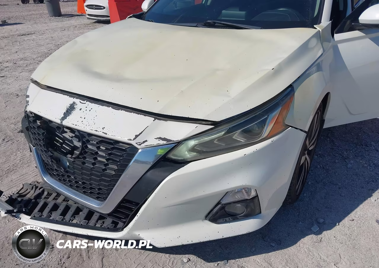 2019 Nissan Altima 2.5 Platinum VIN:1N4BL4FV2KC208284 - 17