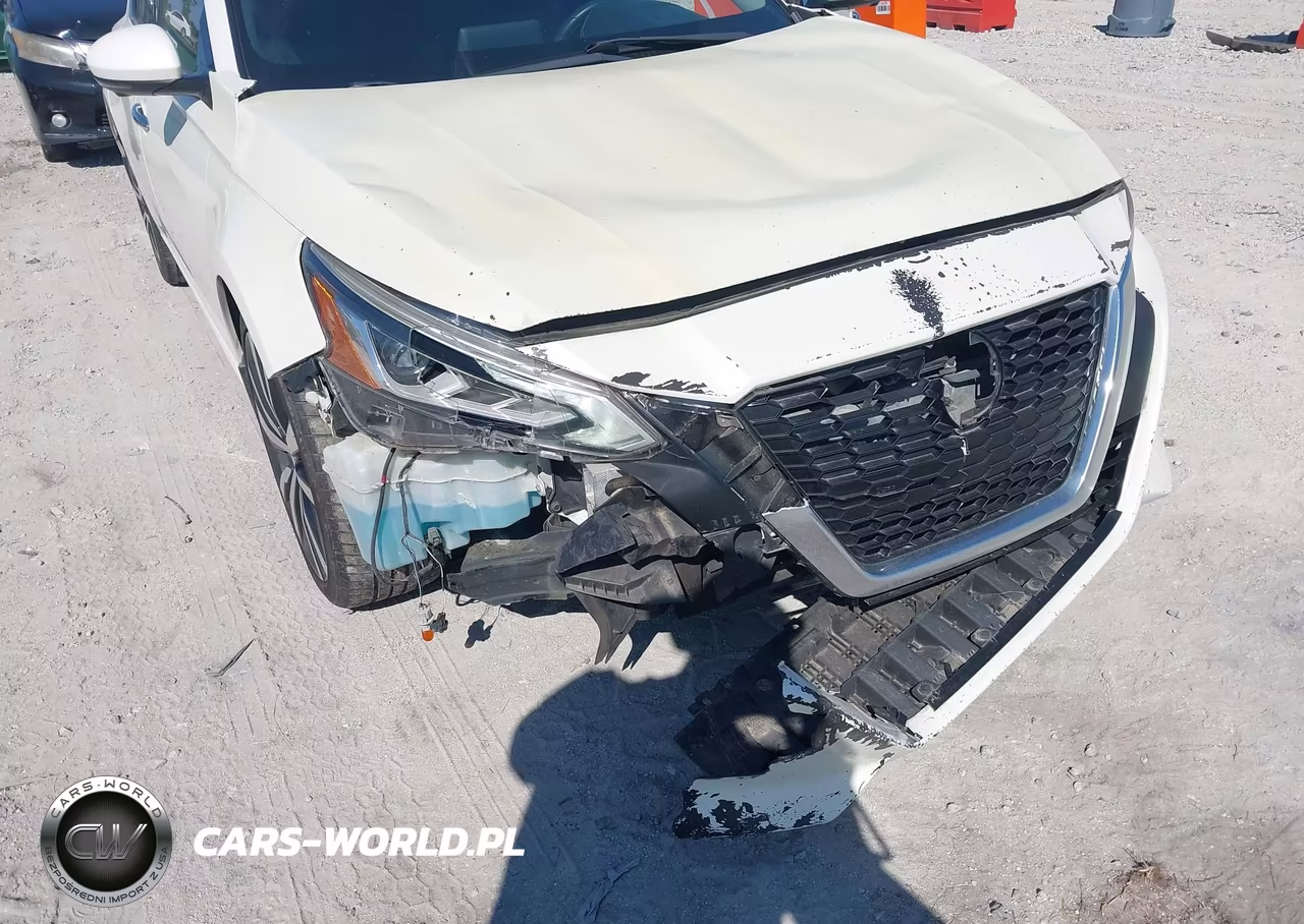 2019 Nissan Altima 2.5 Platinum VIN:1N4BL4FV2KC208284 - 6