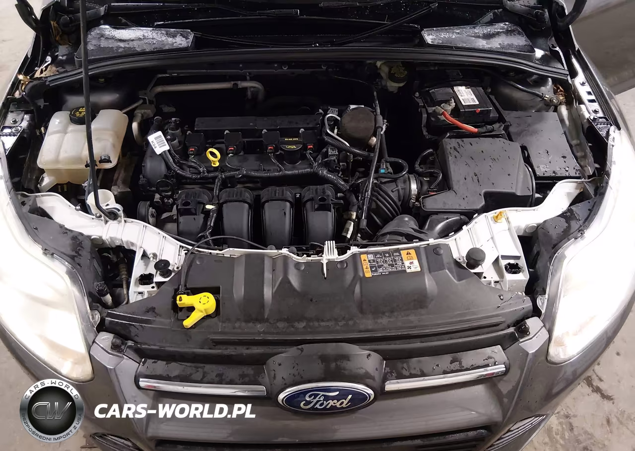 2014 Ford Focus Se VIN:1FADP3K2XEL387732 - 10