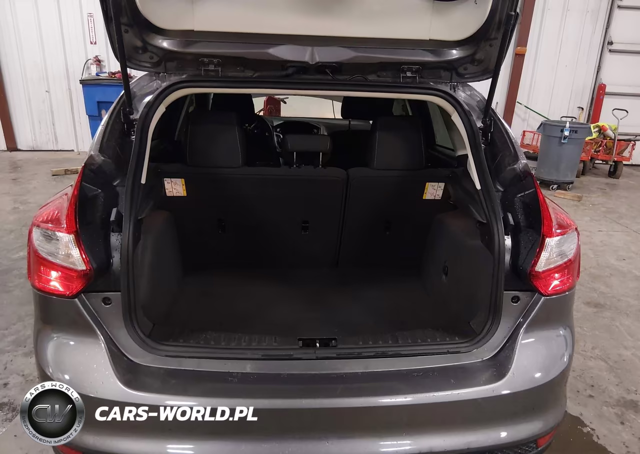 2014 Ford Focus Se VIN:1FADP3K2XEL387732 - 12