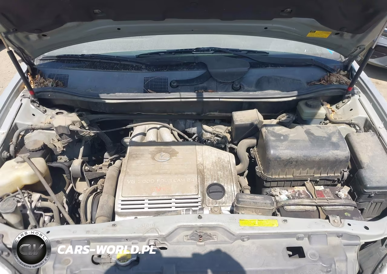 2002 Lexus Rx 300 VIN:JTJHF10U920248029 - 10
