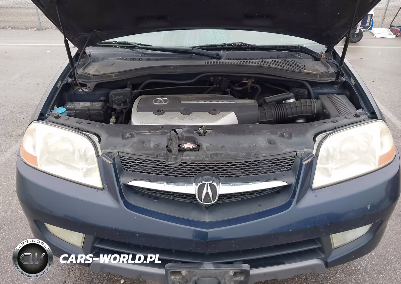 2003 Acura Mdx VIN:2HNYD18633H540989 - 10