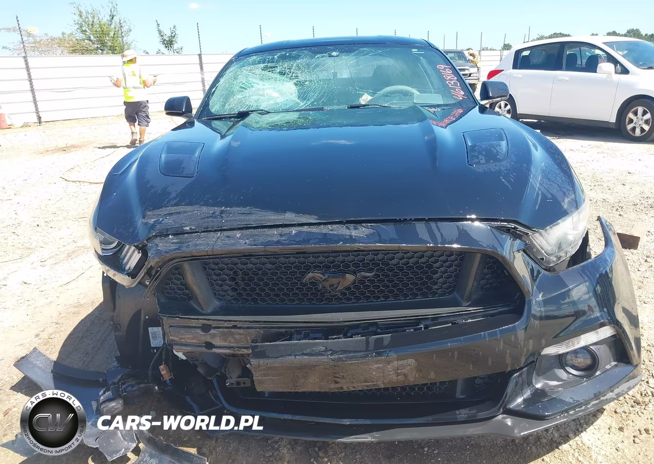 2016 Ford Mustang Gt VIN:1FA6P8CF8G5321422 - 12