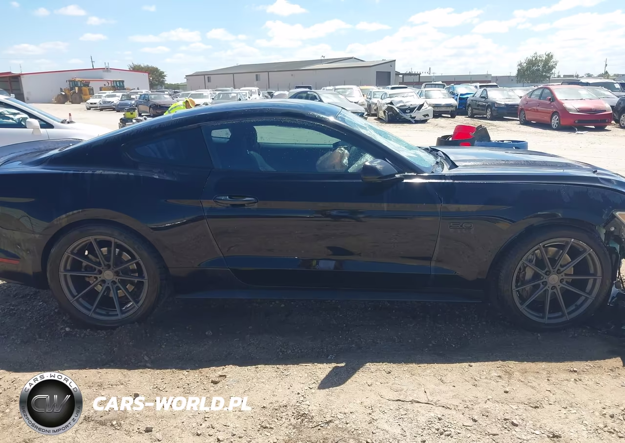 2016 Ford Mustang Gt VIN:1FA6P8CF8G5321422 - 13