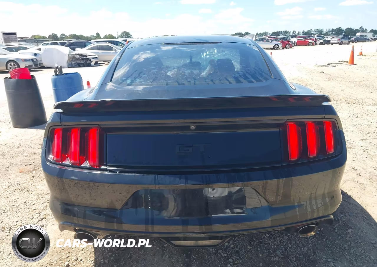2016 Ford Mustang Gt VIN:1FA6P8CF8G5321422 - 16