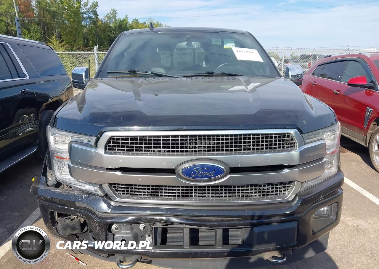 2019 Ford F-150 Platinum VIN:1FTEW1E44KFA51751 - 12