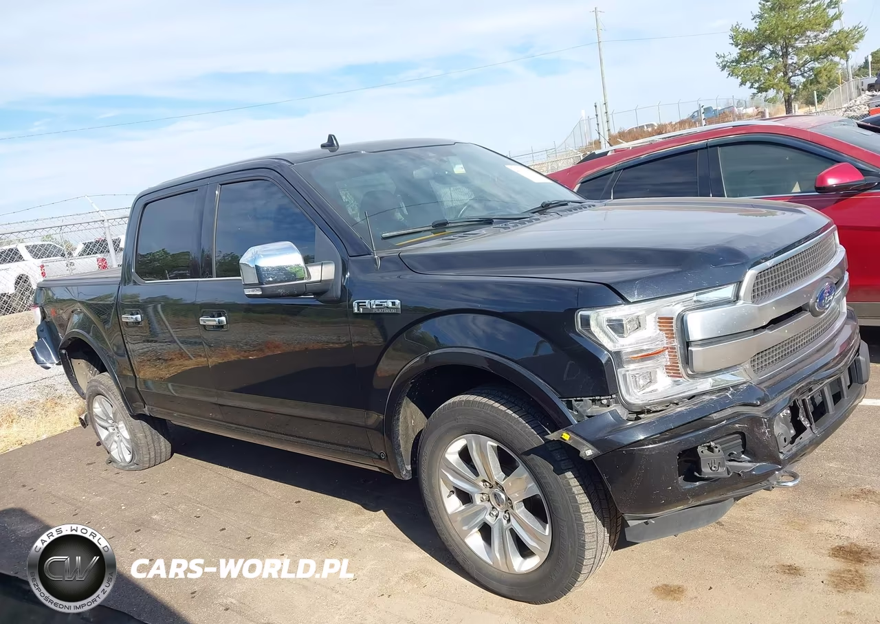 2019 Ford F-150 Platinum VIN:1FTEW1E44KFA51751 - 13