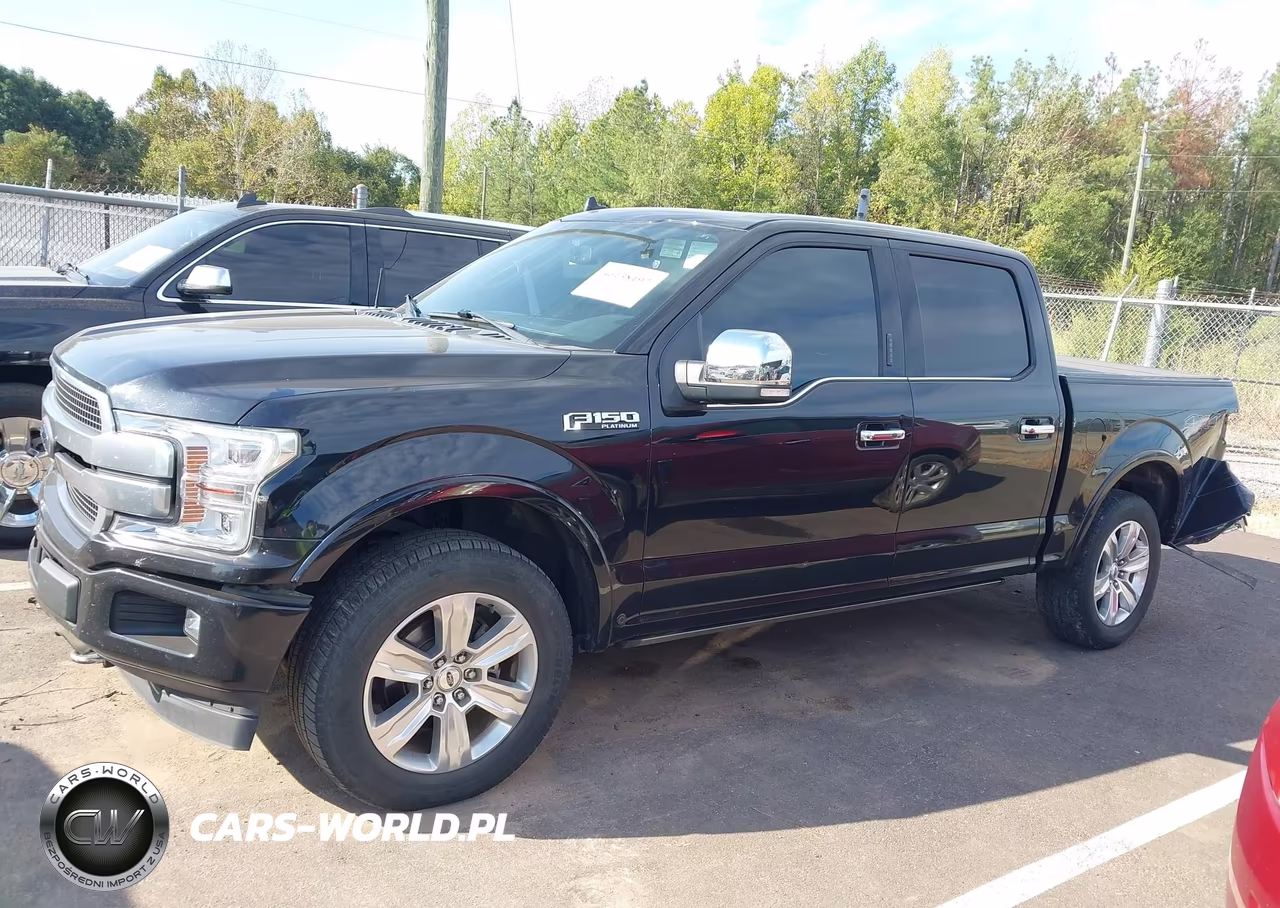 2019 Ford F-150 Platinum VIN:1FTEW1E44KFA51751 - 14