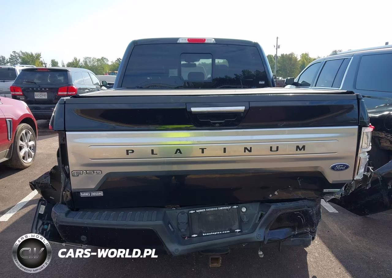 2019 Ford F-150 Platinum VIN:1FTEW1E44KFA51751 - 16