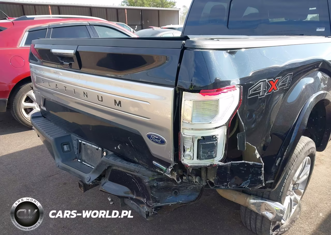 2019 Ford F-150 Platinum VIN:1FTEW1E44KFA51751 - 17