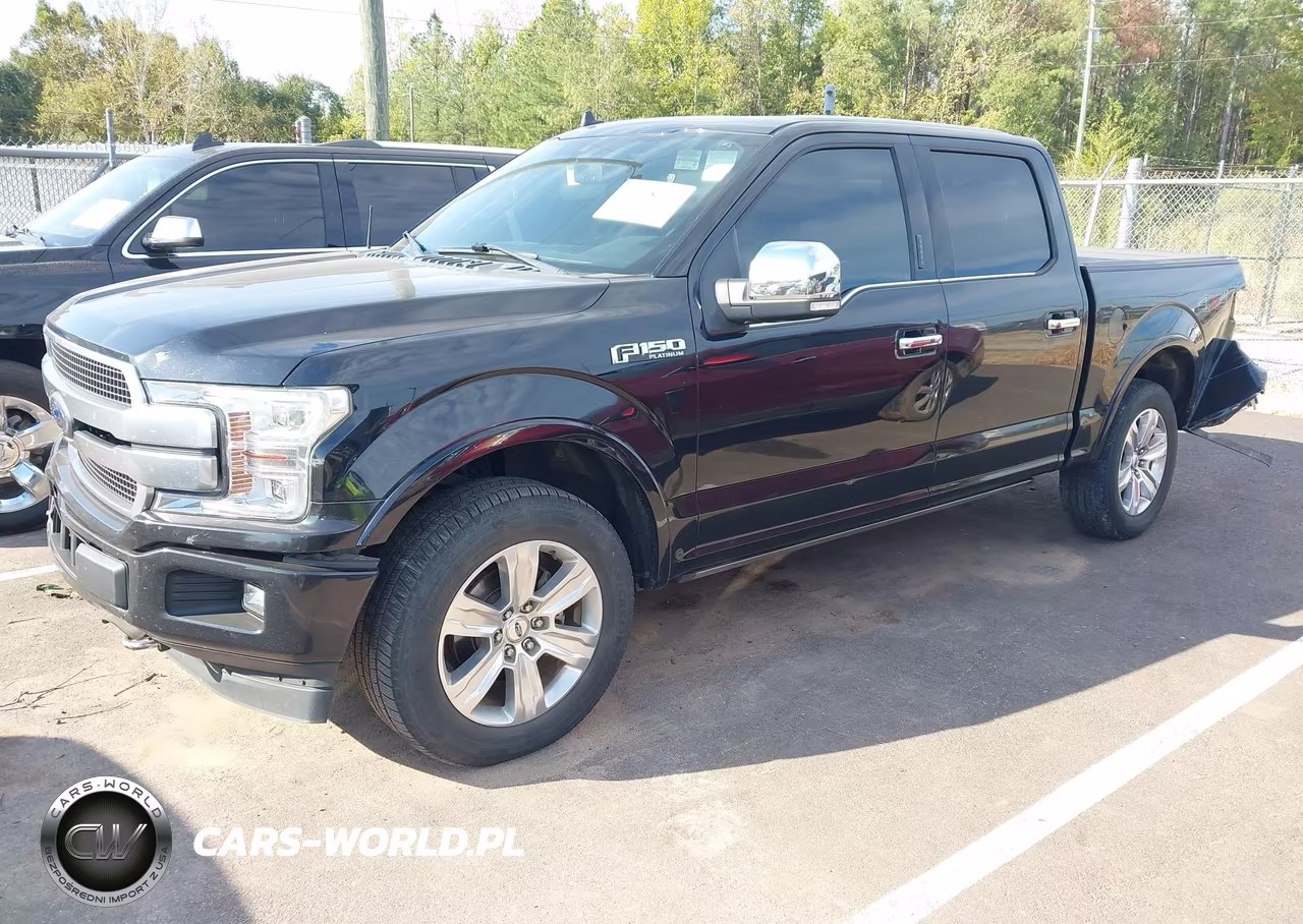 2019 Ford F-150 Platinum VIN:1FTEW1E44KFA51751 - 2