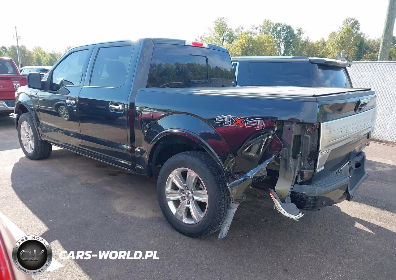 2019 Ford F-150 Platinum VIN:1FTEW1E44KFA51751 - 3