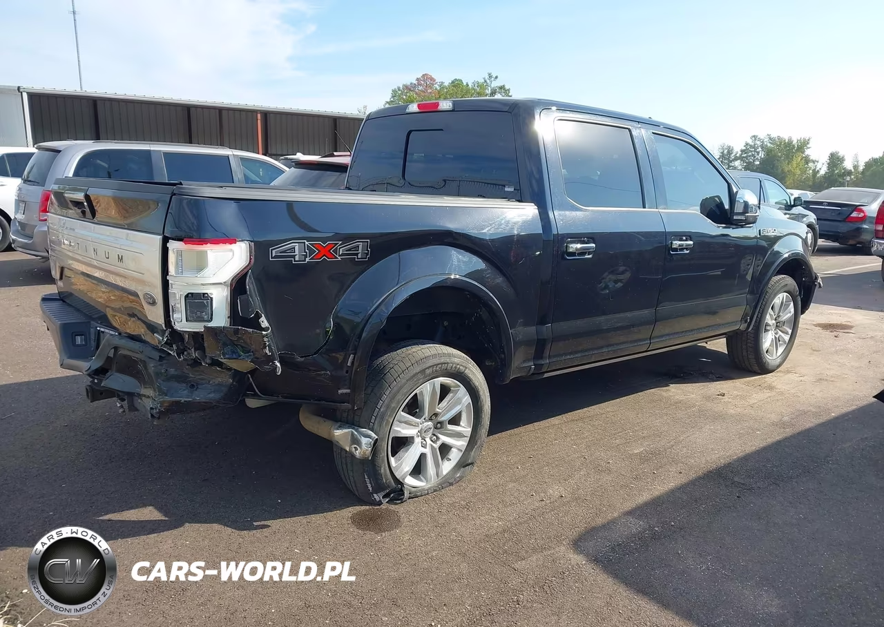 2019 Ford F-150 Platinum VIN:1FTEW1E44KFA51751 - 4