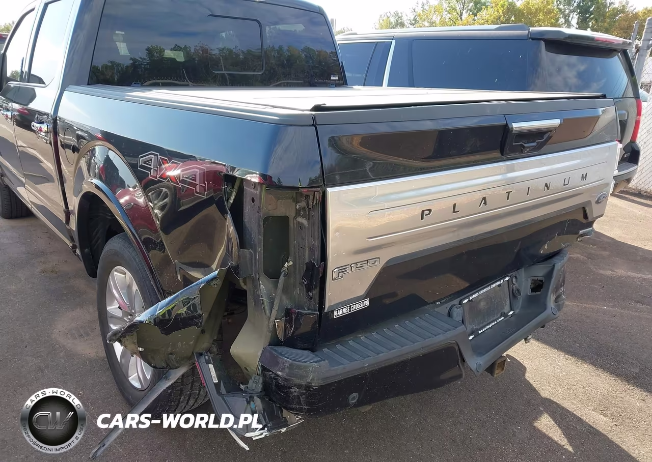 2019 Ford F-150 Platinum VIN:1FTEW1E44KFA51751 - 6