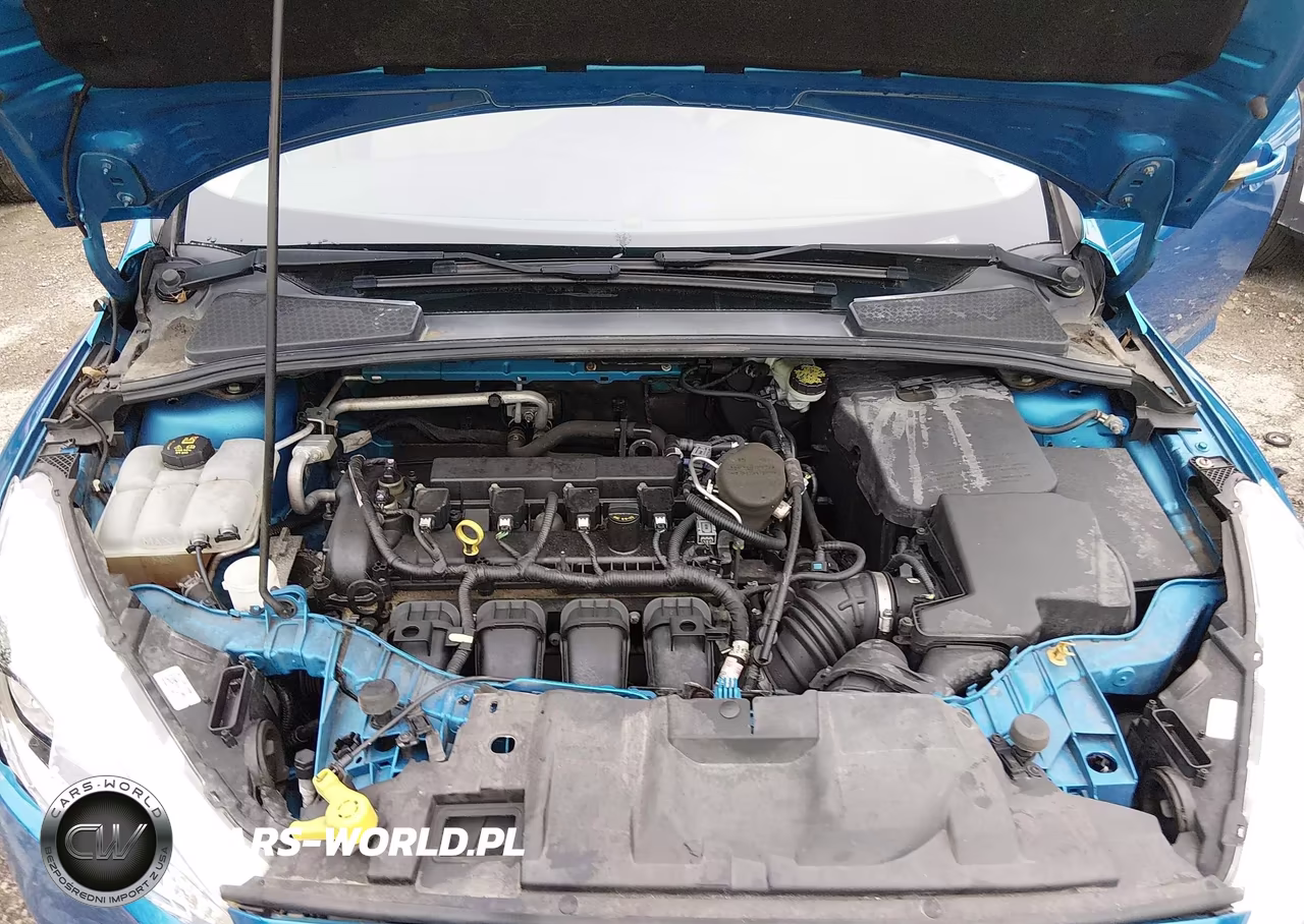 2015 Ford Focus Se VIN:1FADP3F21FL313076 - 10