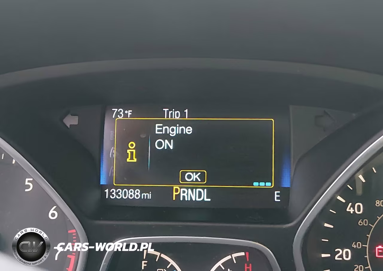 2015 Ford Focus Se VIN:1FADP3F21FL313076 - 15