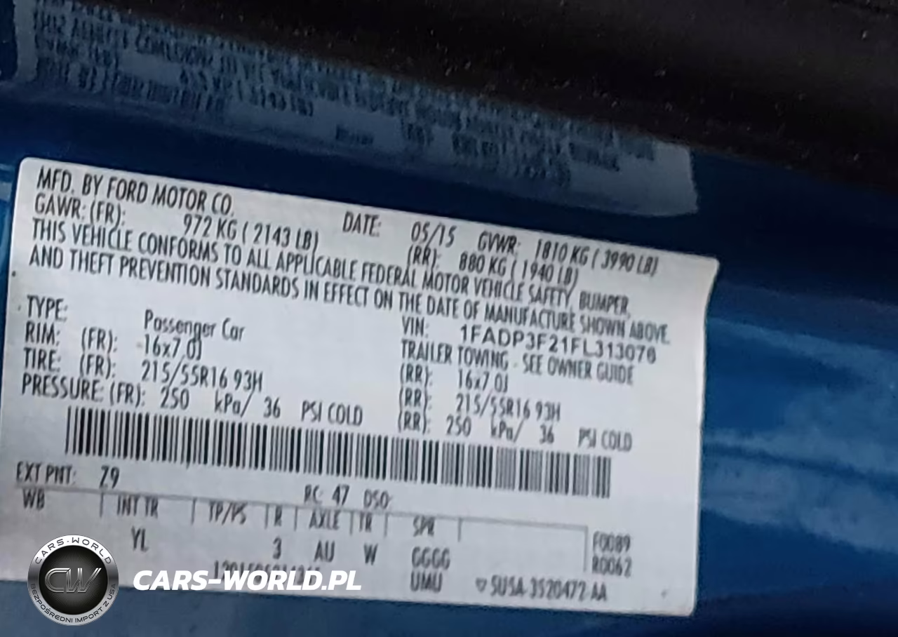 2015 Ford Focus Se VIN:1FADP3F21FL313076 - 9