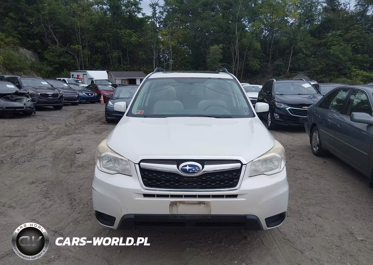 2015 Subaru Forester 2.5I Premium VIN:JF2SJADC9FH486447 - 12