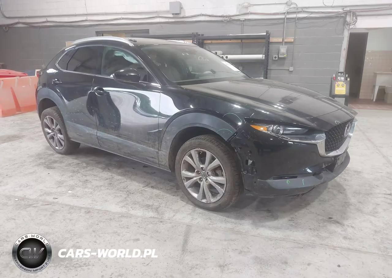 2021 Mazda Cx-30 Premium VIN:3MVDMBDL9MM249341 - 1
