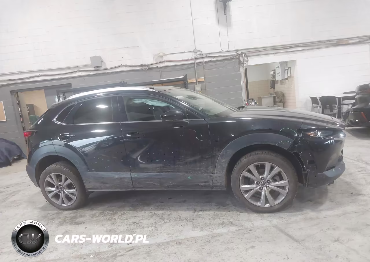 2021 Mazda Cx-30 Premium VIN:3MVDMBDL9MM249341 - 13