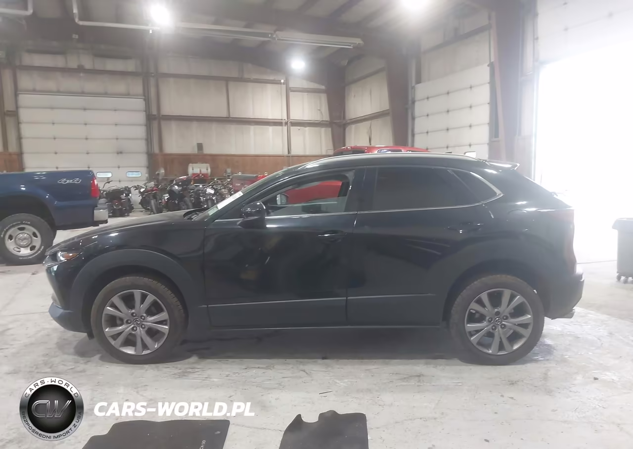 2021 Mazda Cx-30 Premium VIN:3MVDMBDL9MM249341 - 14