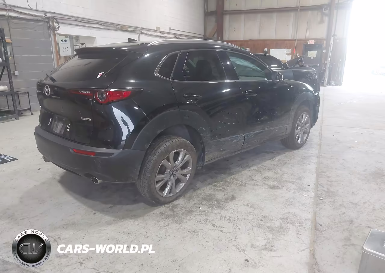 2021 Mazda Cx-30 Premium VIN:3MVDMBDL9MM249341 - 4