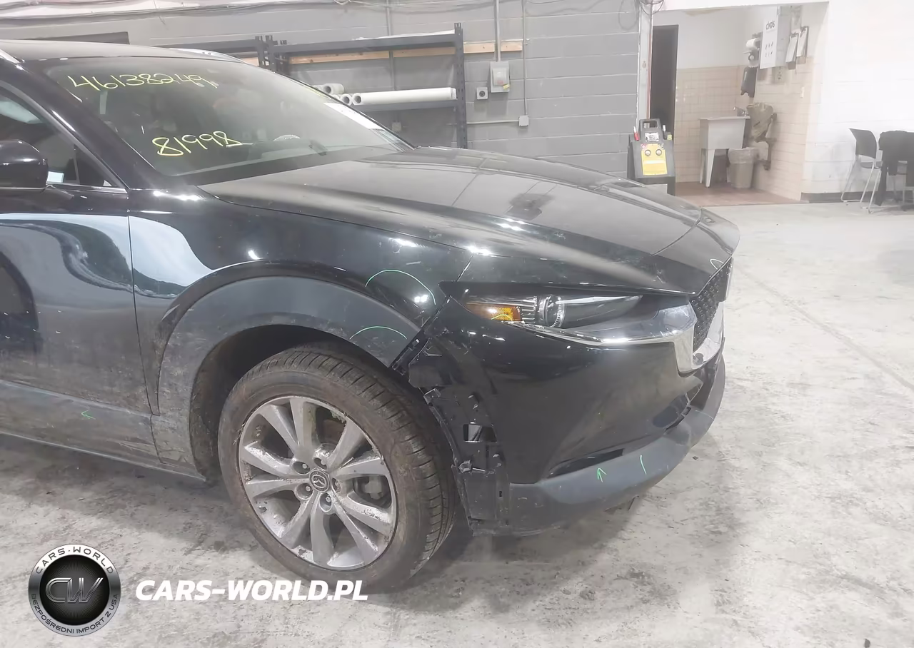 2021 Mazda Cx-30 Premium VIN:3MVDMBDL9MM249341 - 6
