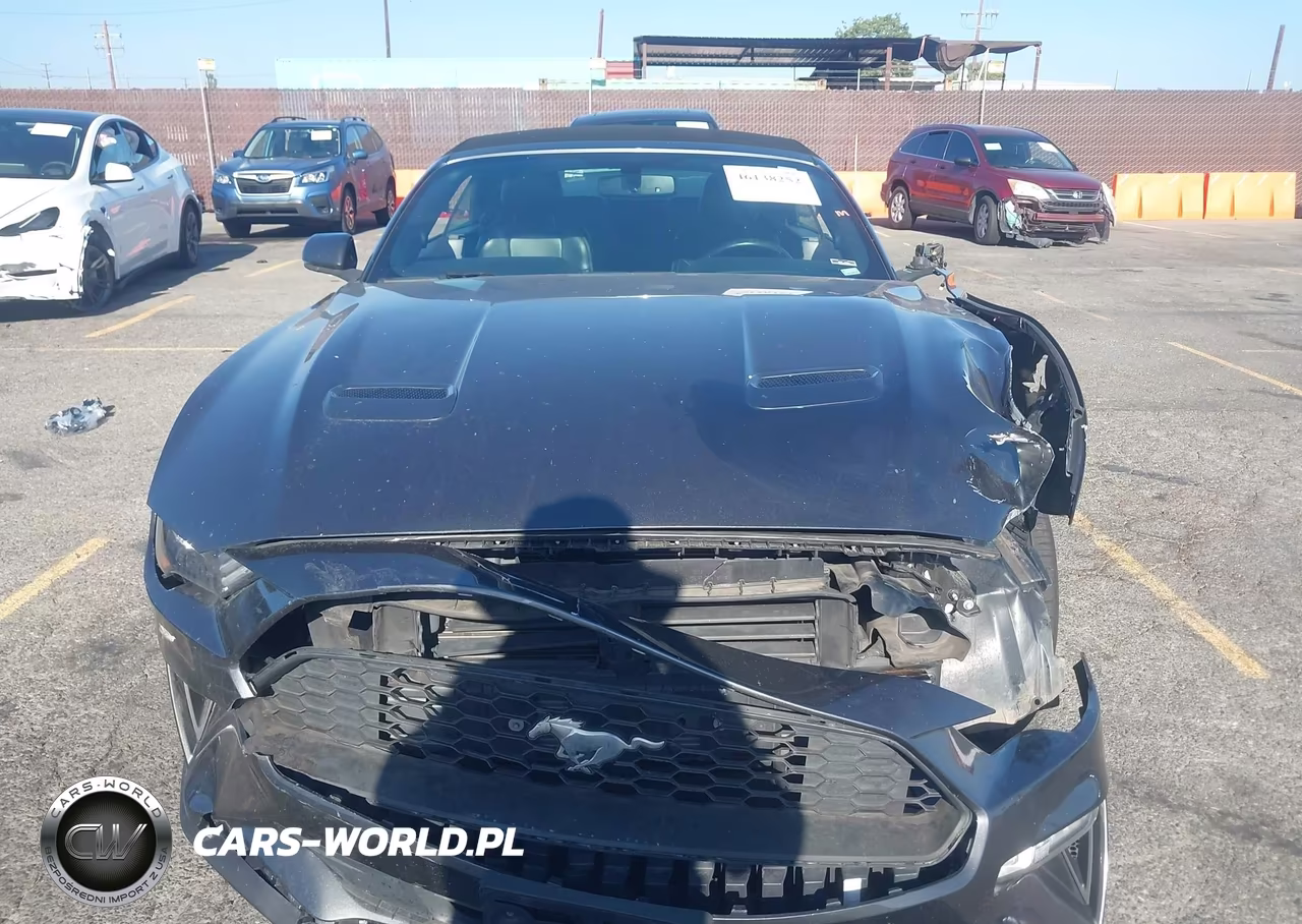 2020 Ford Mustang Ecoboost Premium VIN:1FATP8UH1L5125867 - 12