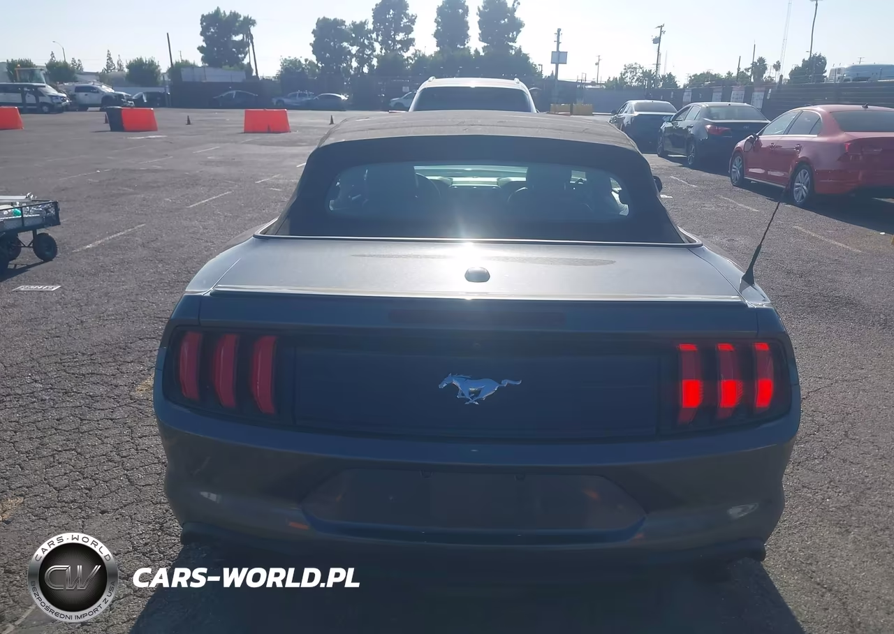 2020 Ford Mustang Ecoboost Premium VIN:1FATP8UH1L5125867 - 16