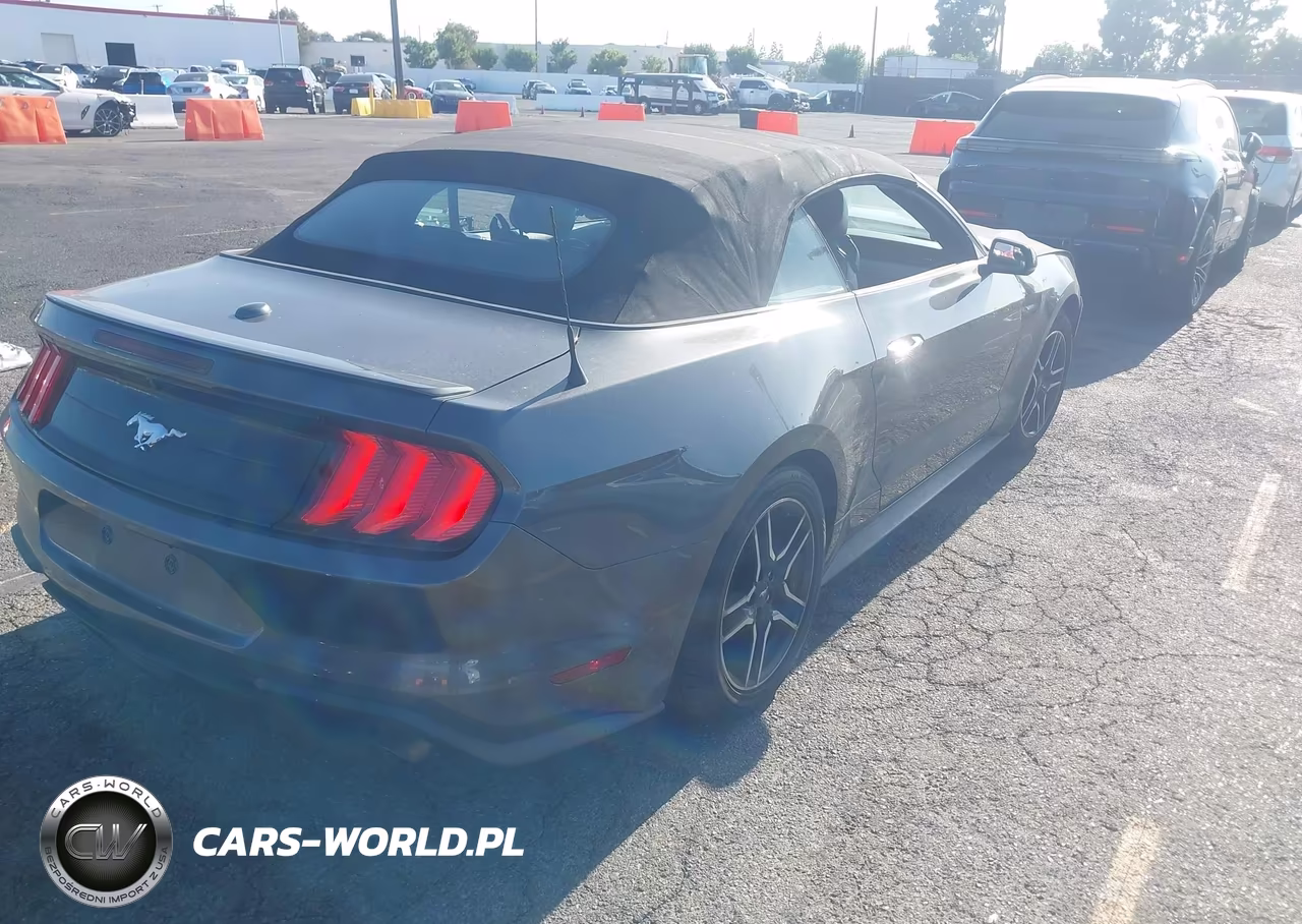 2020 Ford Mustang Ecoboost Premium VIN:1FATP8UH1L5125867 - 4