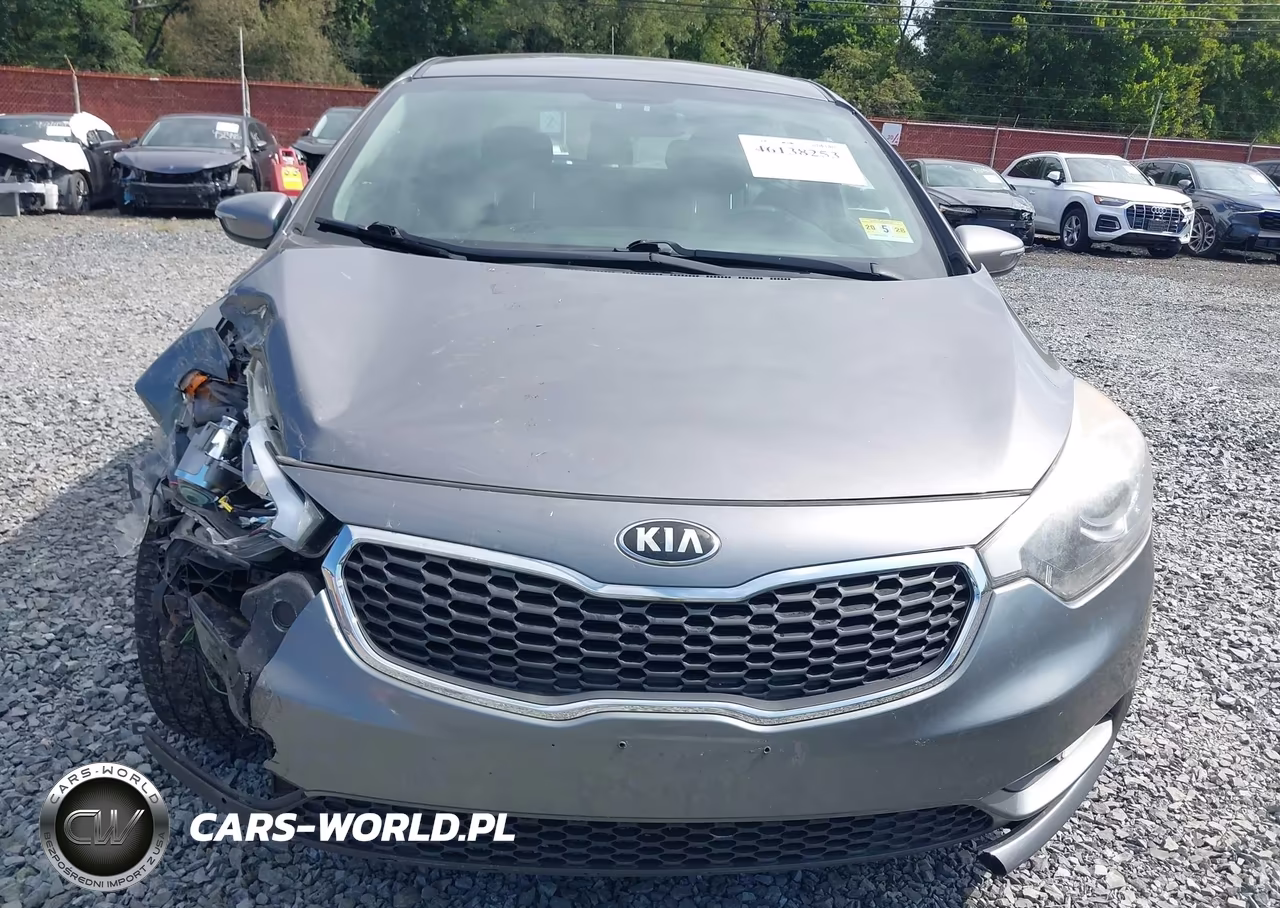 2016 Kia Forte Lx VIN:KNAFK5A81G5605578 - 12