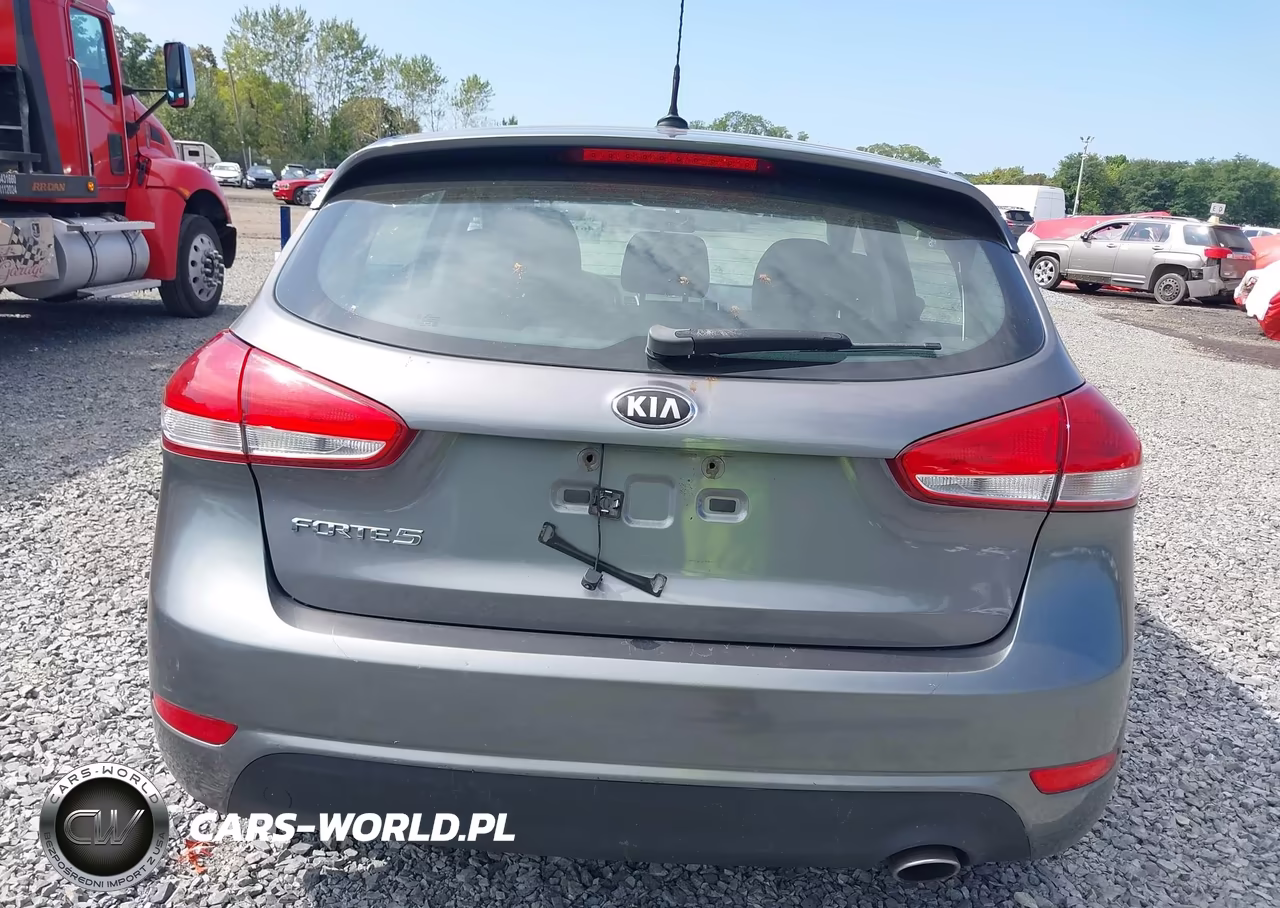 2016 Kia Forte Lx VIN:KNAFK5A81G5605578 - 16